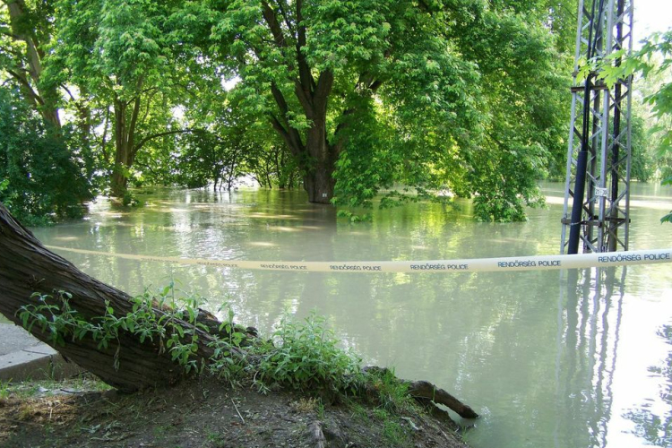 Nincs járványügyi helyzet a térségben, zajlik a fertőtlenítés