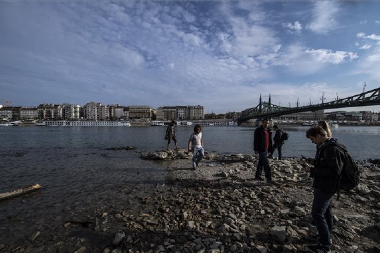 WWF-szakértő: a Duna antibiotikum-szennyezettsége az embert nem fenyegeti