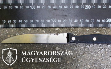Késsel hadonászott Esztergom belvárosában, vádemelés lett a vége