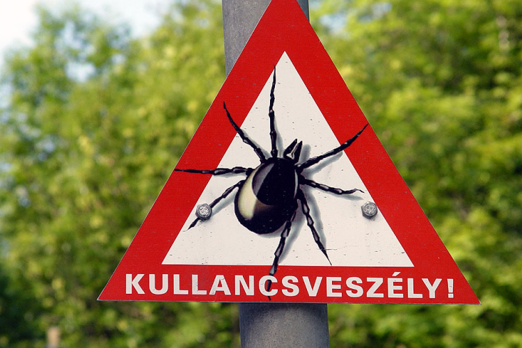 Itt a tavasz, ébrednek a vérszívók is