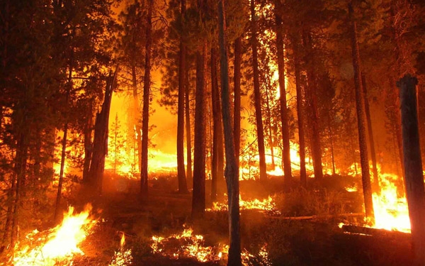 Óvatosan „gyújtogassunk” - megelőzhetők a szabadtéri tüzek