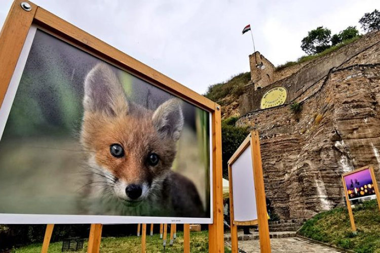 Segítséggel újra látható a megrongált szabadtéri kiállítás – A rendőrség nyomoz!