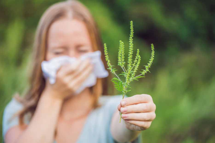 Fűfélék okoznak allergiás tüneteket