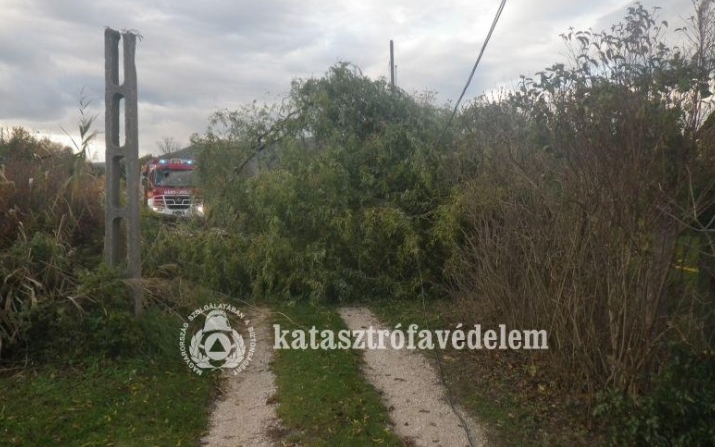 Nem hagyta pihenni a tűzoltókat a szélvihar