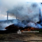 Így küzdöttek a tűzoltók a lángokkal Tokodaltárónál - FOTÓK