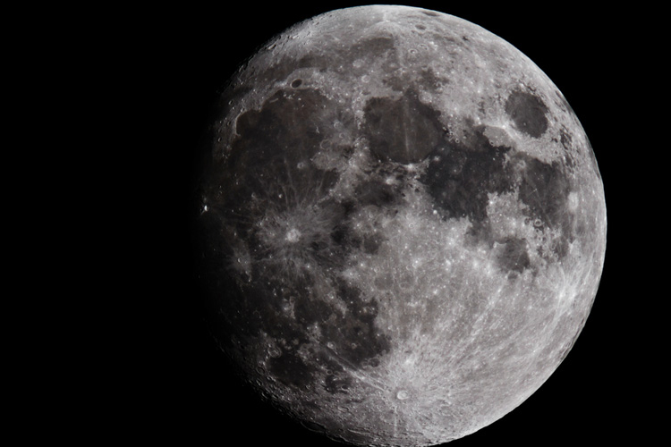 Átfogó felmérés készült a holdvilág állatokra gyakorolt hatásáról