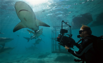 Cápafesztivál és Chris Hemsworth a National Geographic Wild műsorán