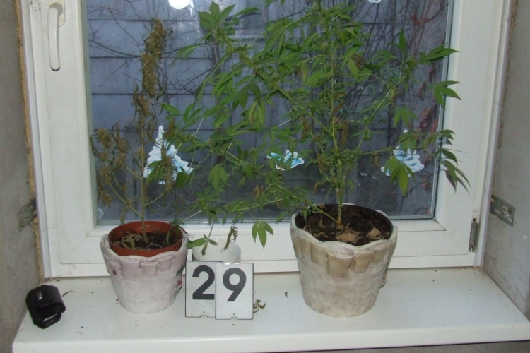 Előzetesben az altárói kábítószer-kereskedő – FOTÓK-VIDEÓ