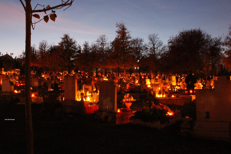 Mindenszentek a levegőből – Légi videó