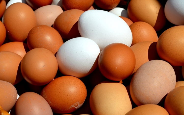 Továbbra is biztonságosnak tartja a magyar tojást a Tojásszövetség