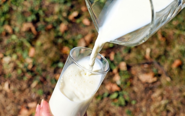 Fenyegetésként kezelik a szennyezett tejtermékek ügyét
