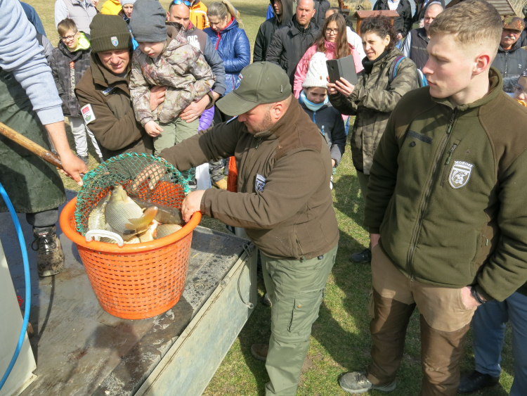 Több százan vettek részt a megyei horgászok környezetvédelmi programjain