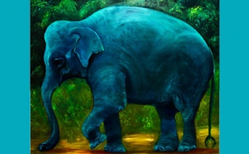 Ne gondolj a nagy kék elefántra! – Brassai Gabriella kiállítás