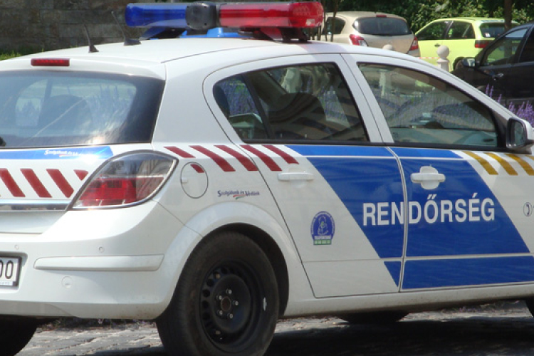 Vád előtt az ittasan, jogsi nélkül kocsival lovakat húzó férfi