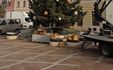 Megérkezett Esztergom új, óriási karácsonyfája, aztán eltűnt…