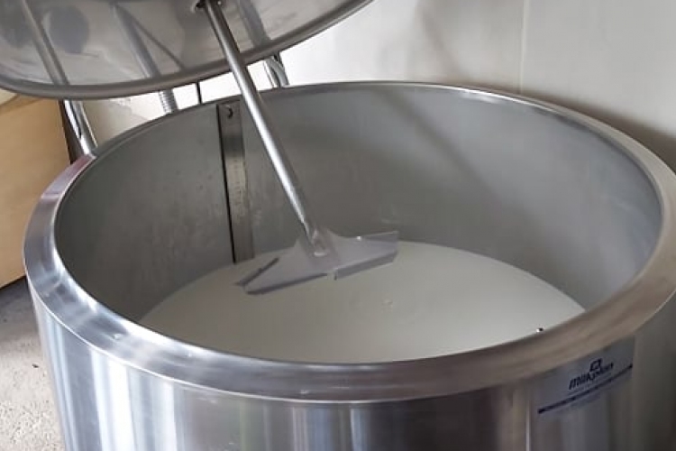 Jelentősen fejlesztett a piliscsévi tejfeldolgozó