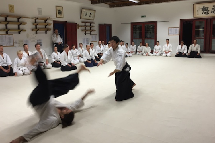 Különleges Nemzetközi Aikido Tábor japán mesterrel hamarosan Esztergomban
