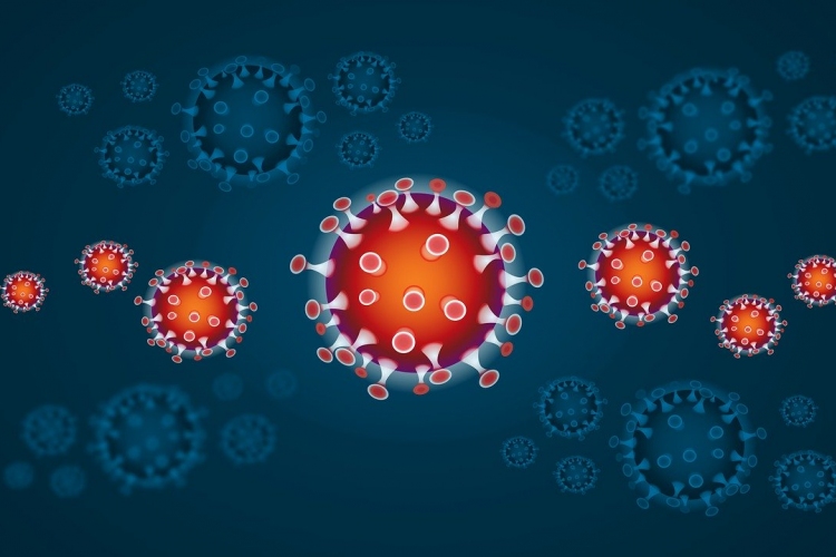 Franciaországban 6500 fölött a koronavírus miatt elhunyta száma