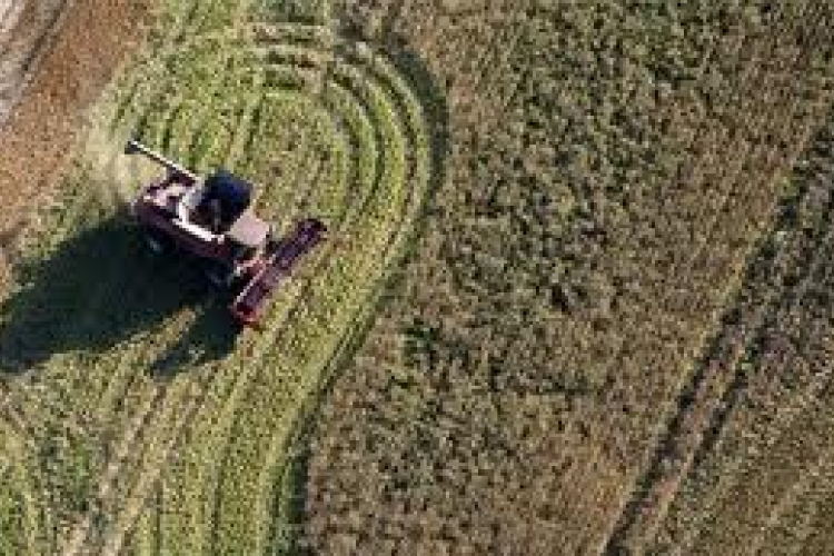 A nagybirtok erősödésétől óvnak a civilek