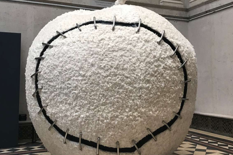 Gigantikus alma érkezett hazánkba