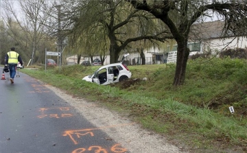 Meghalt egy fának ütköző autó utasa a Dobókői úton Pomáznál