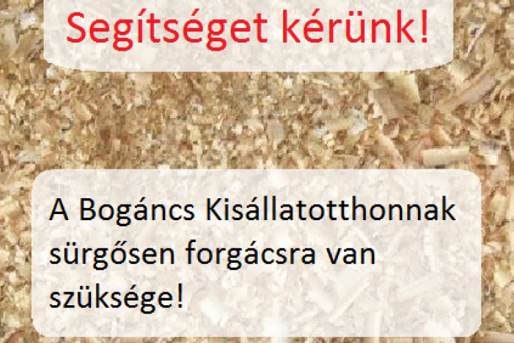 Segítsünk a Bogáncs menhelynek!