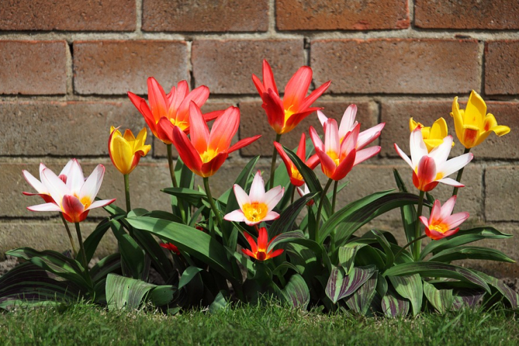 Kié lesz a legszebb konyhakert Esztergomban?