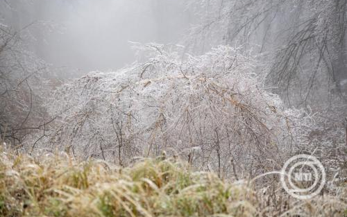 Folytatódik a csapadékos, de enyhe időjárás a jövő héten is
