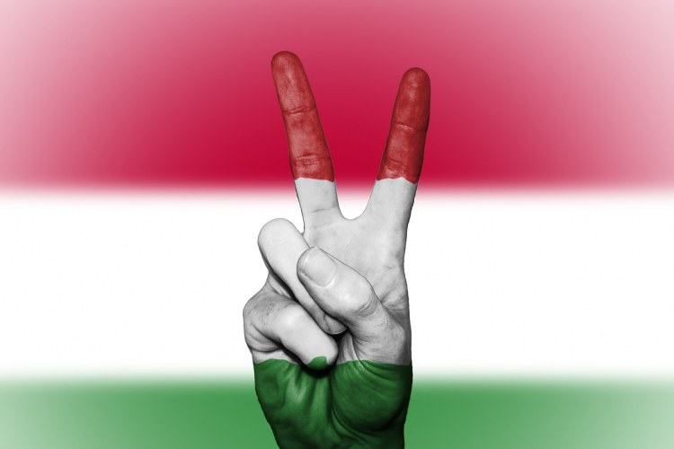 Növekszik-e a Magyarországon bejegyzett ígéretes startupok száma a következő években?