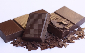 Csokigyár épül Nógrádban 