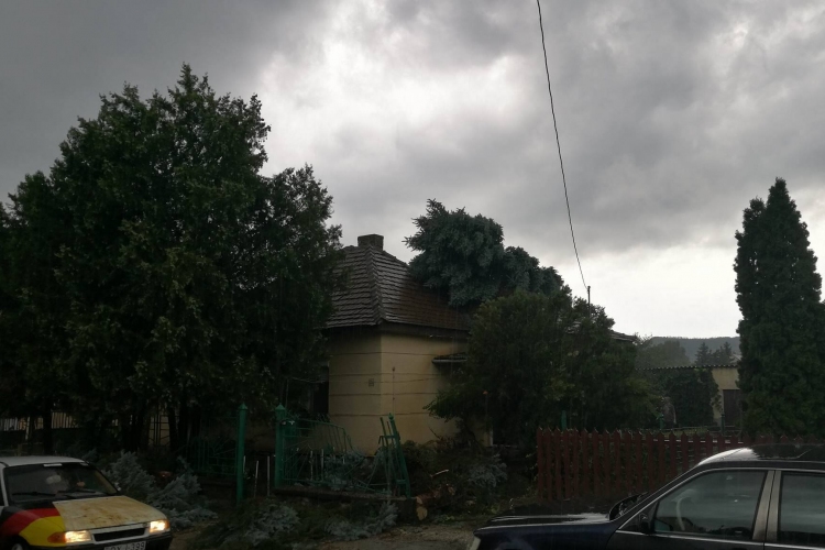Óriási vihar tombolt – házakra döntött fák és elúszott utcák – VIDEÓ és FOTÓK