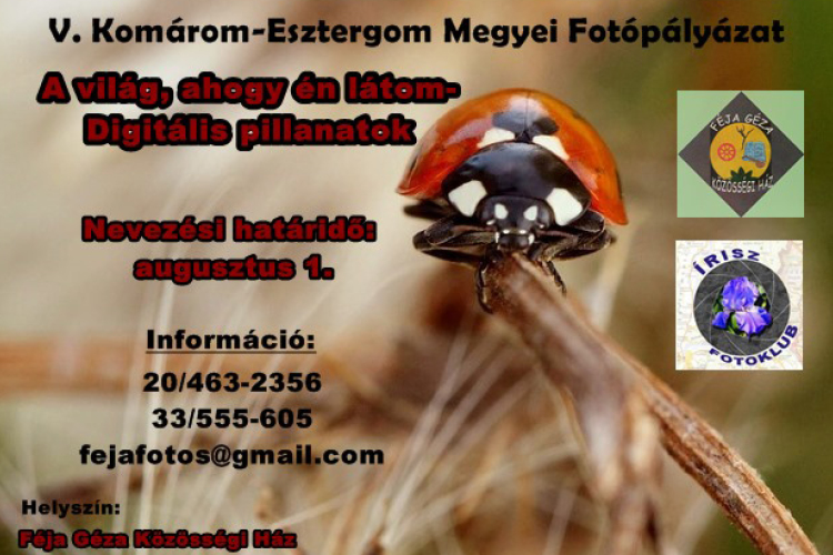 A világ, ahogy én látom- megyei fotópályázat a Féjával