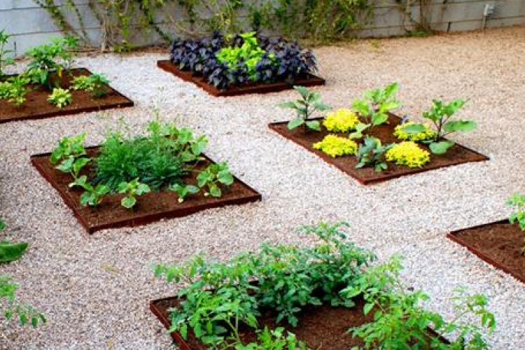 Esztergom legszebb konyhakertjei is versenyezhetnek