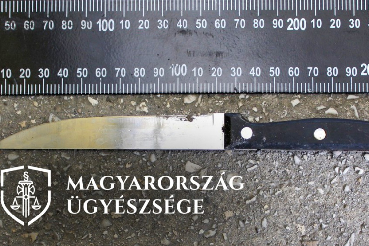 Késsel hadonászott Esztergom belvárosában, vádemelés lett a vége