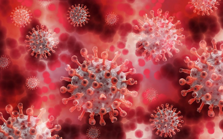 Folyamatosan nő a szennyvíz koronavírus-koncentrációja