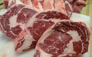 Kilenctonnányi lejárt és jelöletlen húst foglalt le egy döbbenetes állapotú nagykereskedésben - VIDEÓ