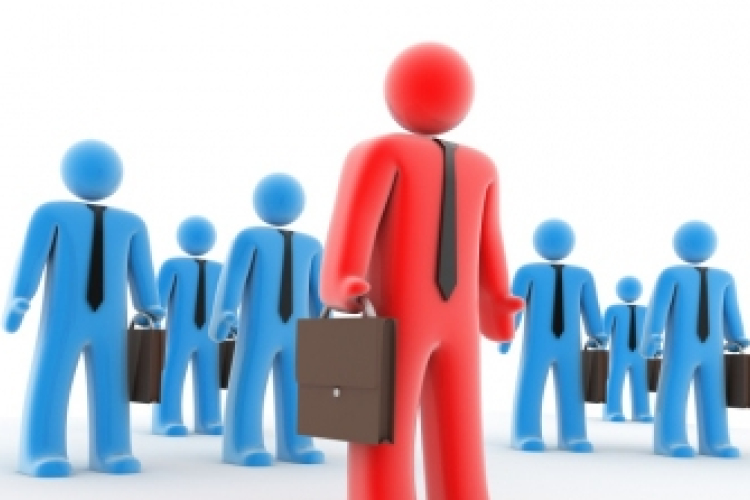 Munkaerő-felmérés a megyében