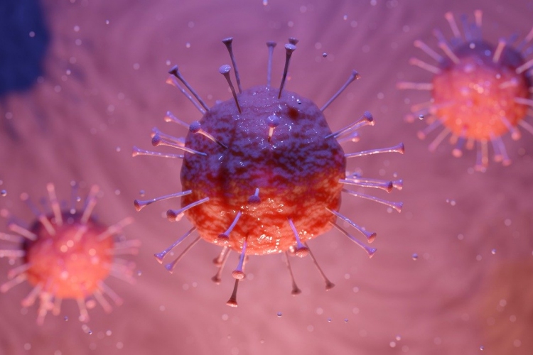 Amerikai történészek is dokumentálják a koronavírus-járványt
