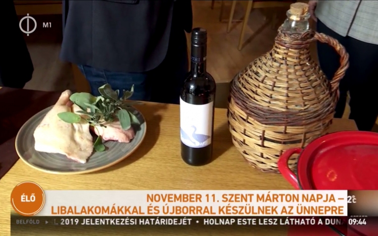 Országos tévében Esztergom a Szent Márton nappal - VIDEÓVAL