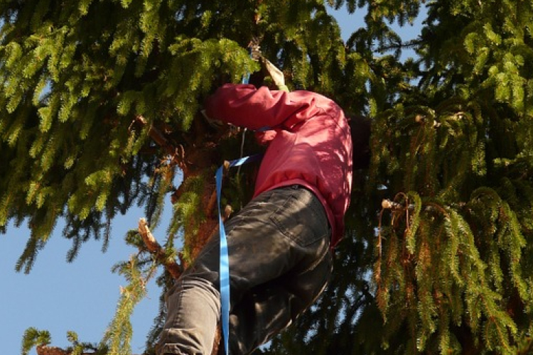 Gallyazást végez az áramszolgáltató Esztergomban