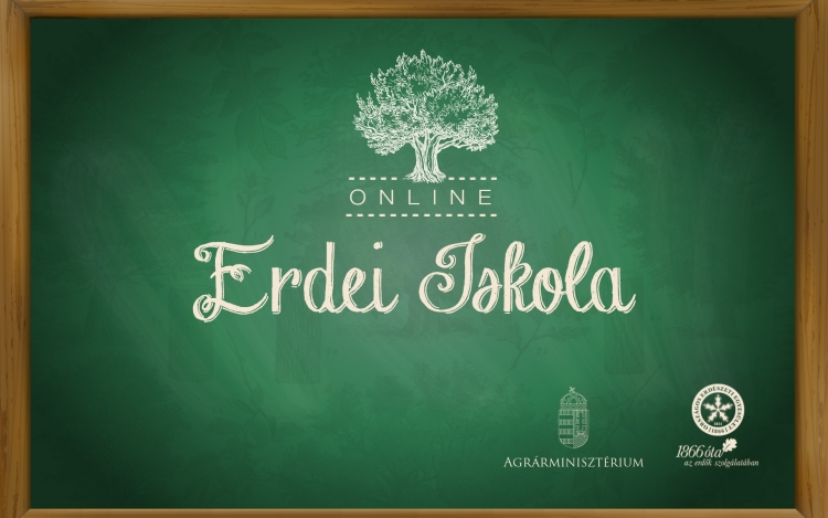 Online erdei iskola sorozat indul a Madarak és fák napján