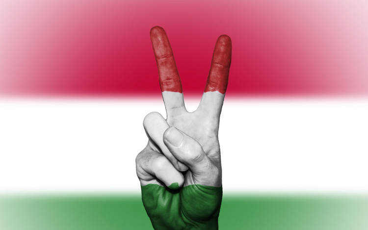 Növekszik-e a Magyarországon bejegyzett ígéretes startupok száma a következő években?