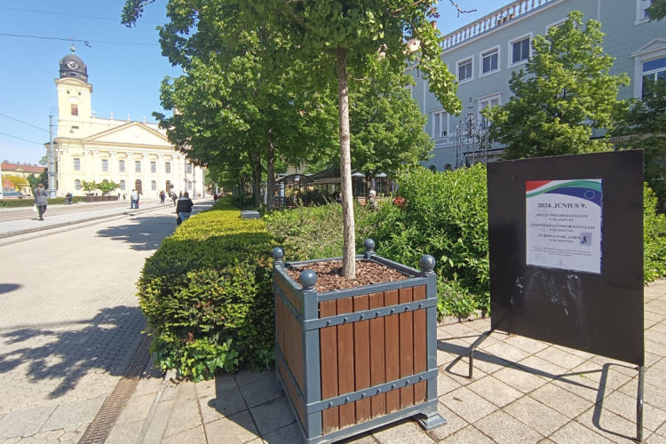 Debrecen a TOP3-ban az Európa Zöld Fővárosa címért zajló versenyben