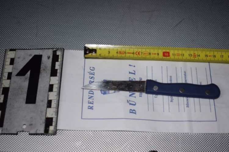 Letartóztatásban marad a 13 éves késelő lány 